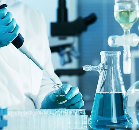 如何證明反轉(zhuǎn)錄第一鏈cDNA成功了？