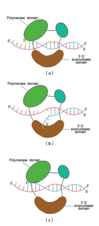 0825-01.png 0825-01.png