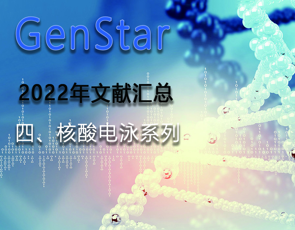 GenStar 2022年文獻匯總（四、核酸電泳系列）